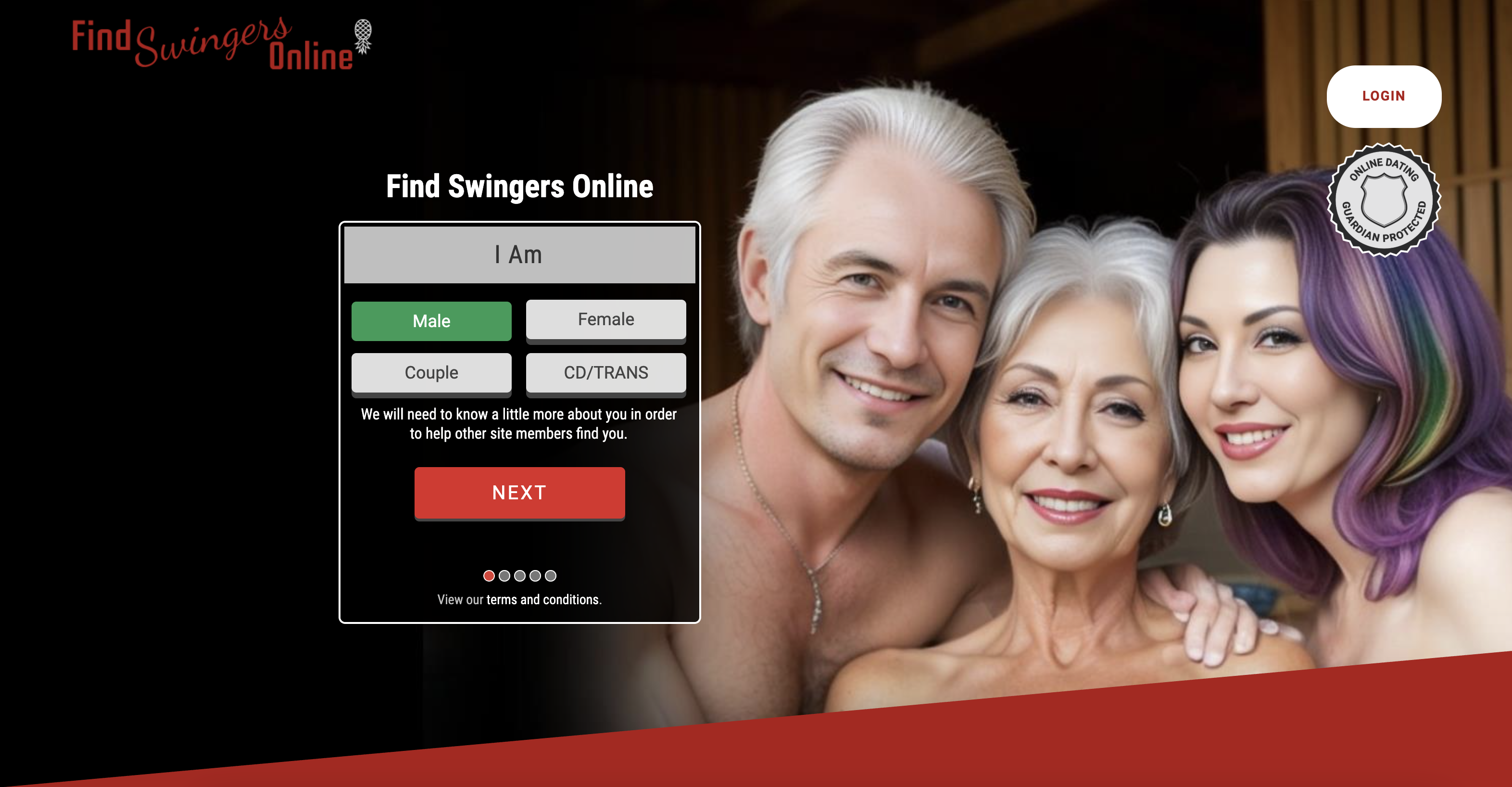 Find Swingers Online screenshot