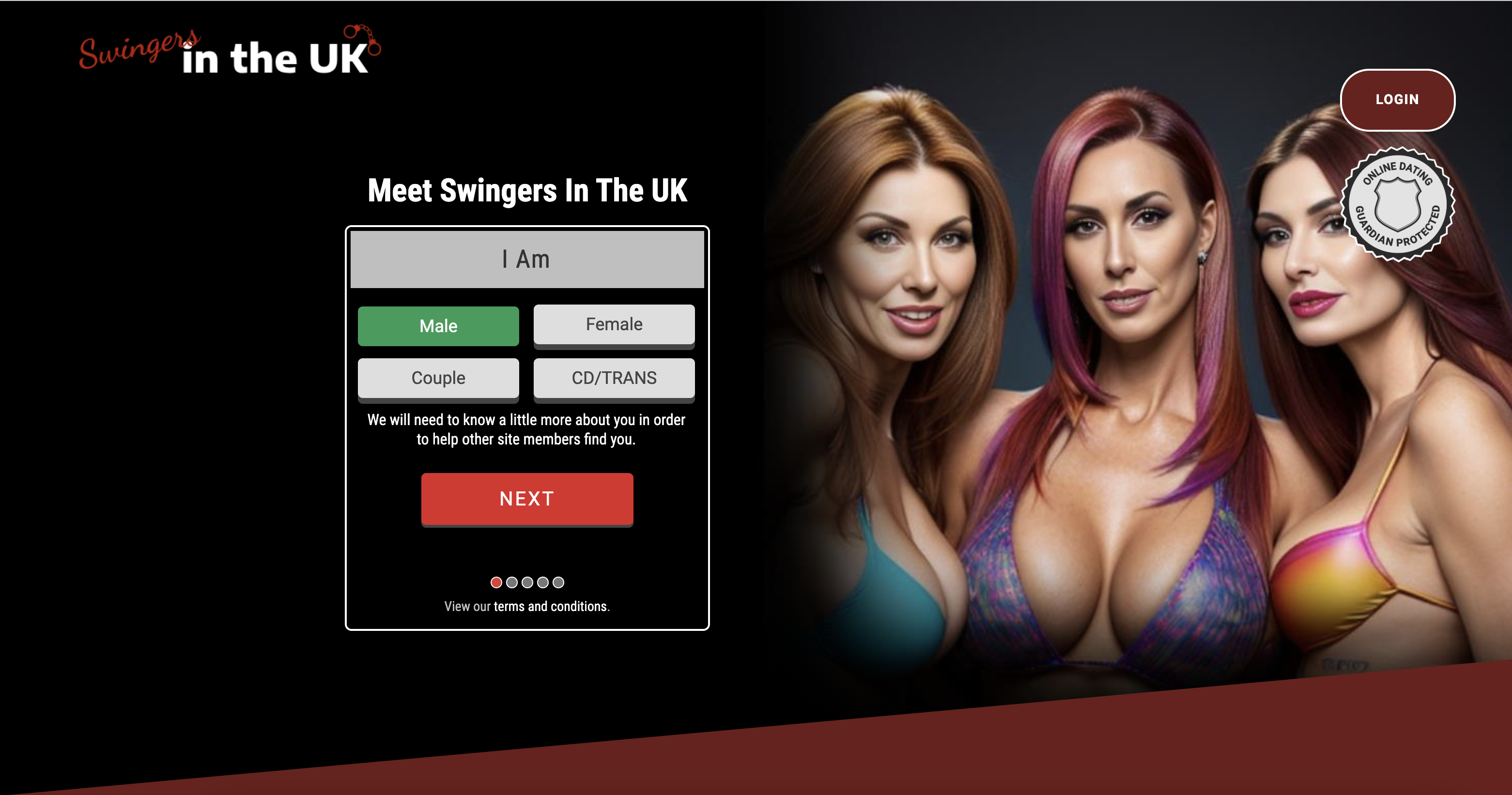 Swingers In The UK screenshot